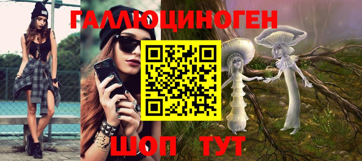 Псилоцибиновые грибы Psilocybe Тосно