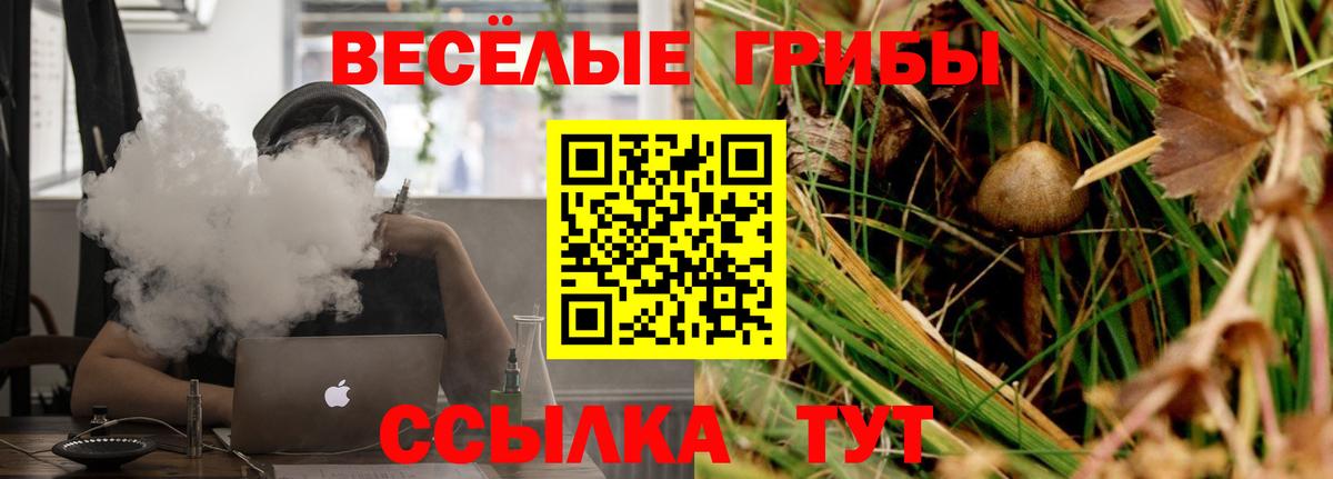 Псилоцибиновые грибы прущие грибы  Вход с VPN  Тосно 